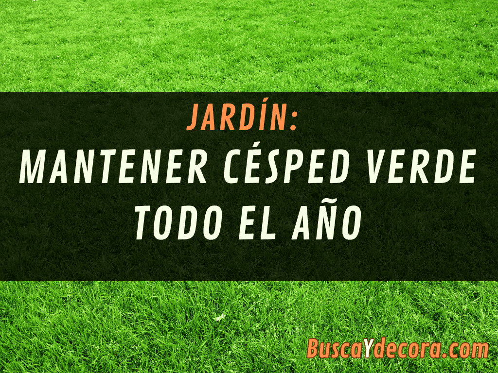 Cómo mantener el cesped verde todo el año: Escarificado y aireado